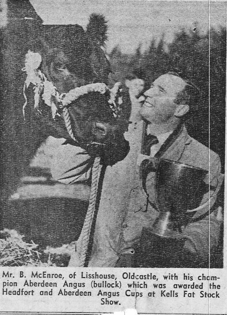 Batty McEnroe winning at an Angus show