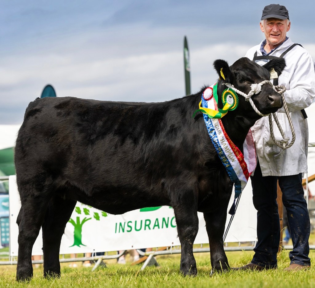 Two from three at&nbsp;Tullamore