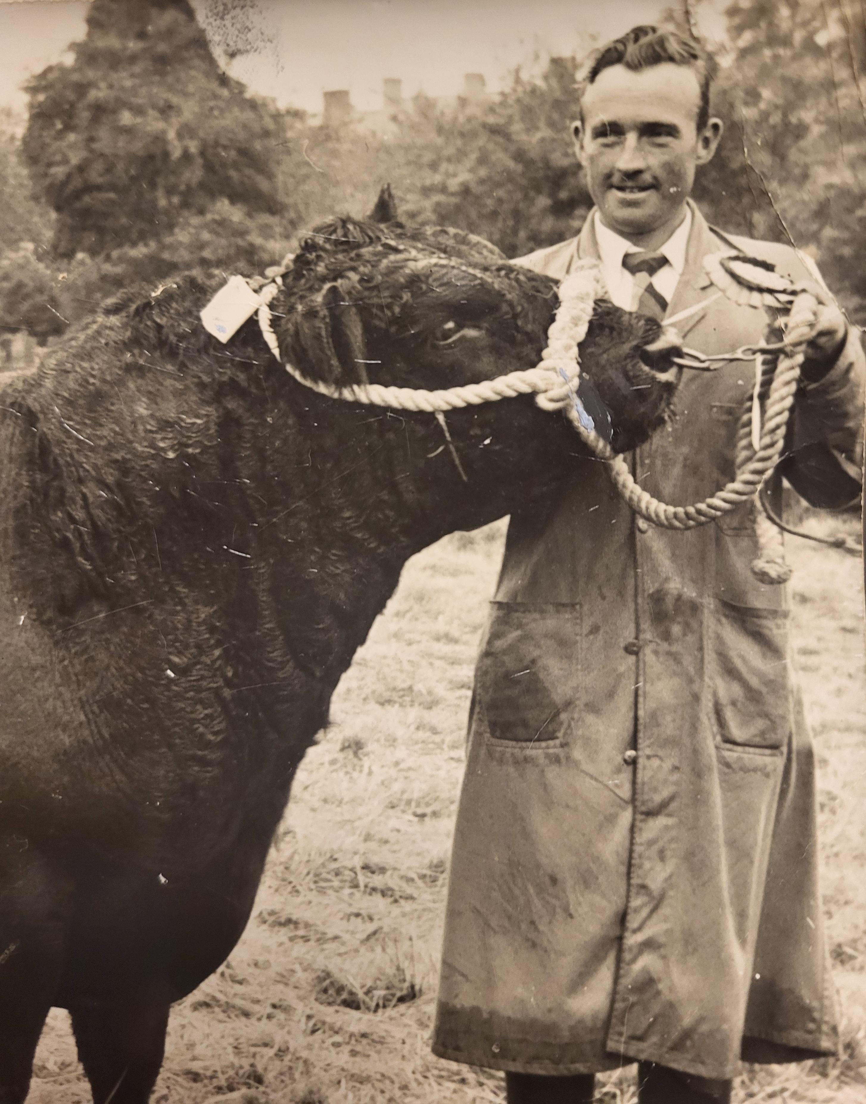 Batty McEnroe with a bull on the halter