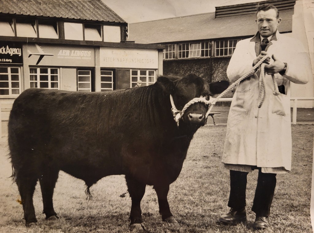 Batty McEnroe with a young bull on the halter