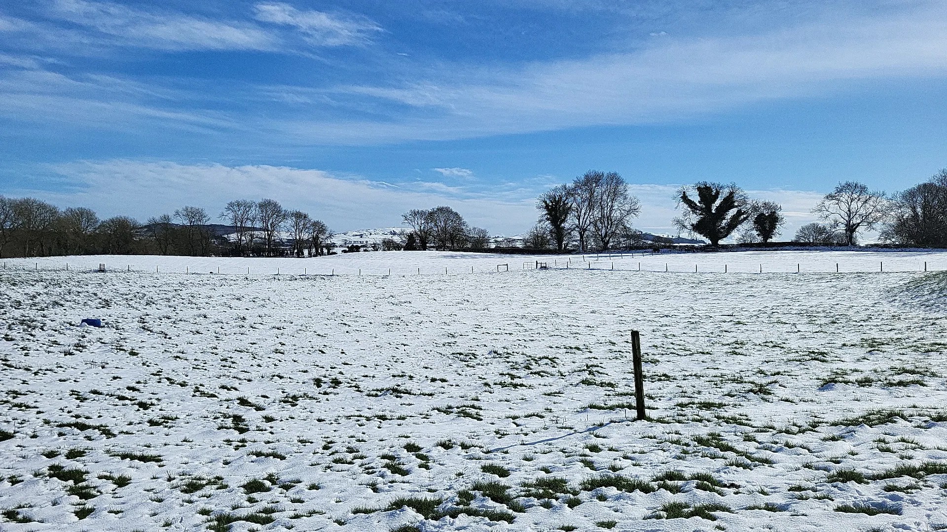 Snowy field at Liss Angus