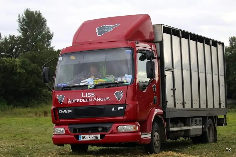 A red lorrie with cattle in it
