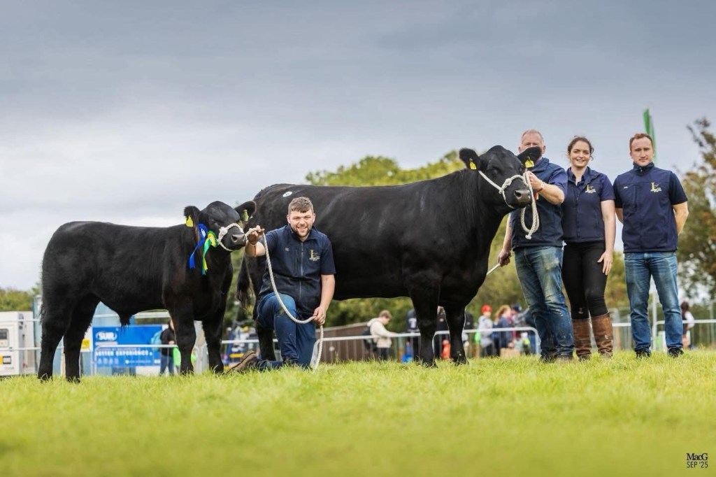 Liss Minree U799 is Reserve All Ireland&nbsp;Champion