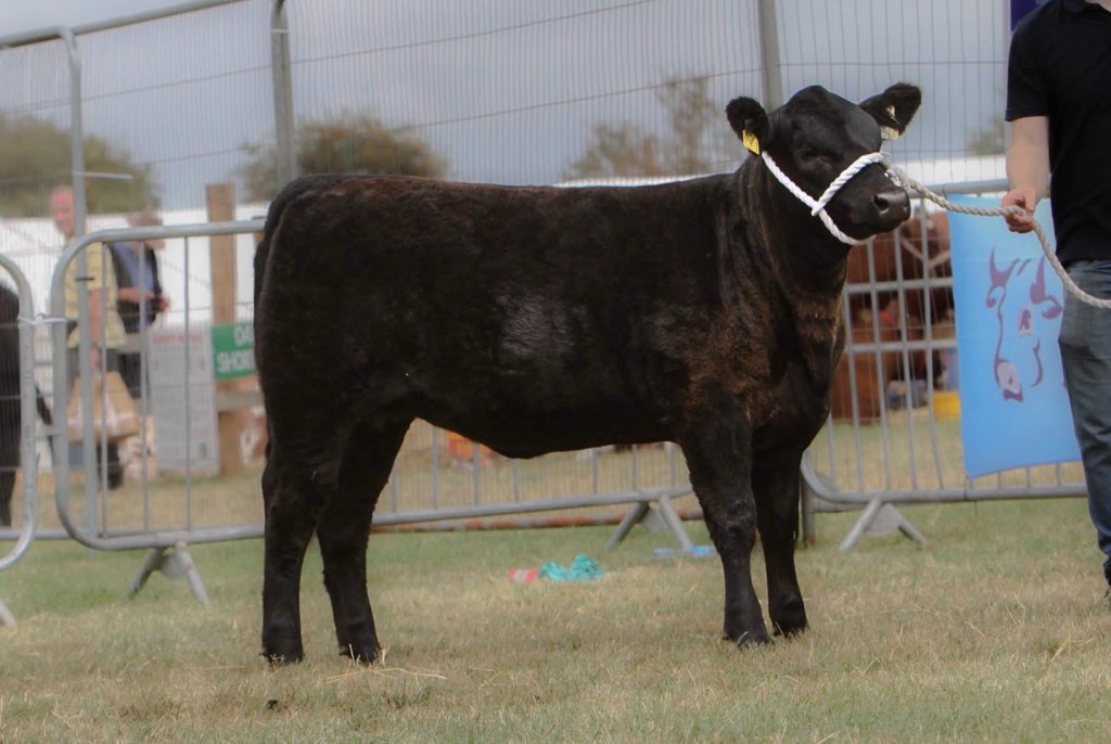Two first prizes at Tullamore&nbsp;Show