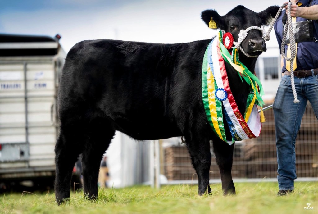 Liss Mirti B492 wins All Ireland Supreme&nbsp;Championship