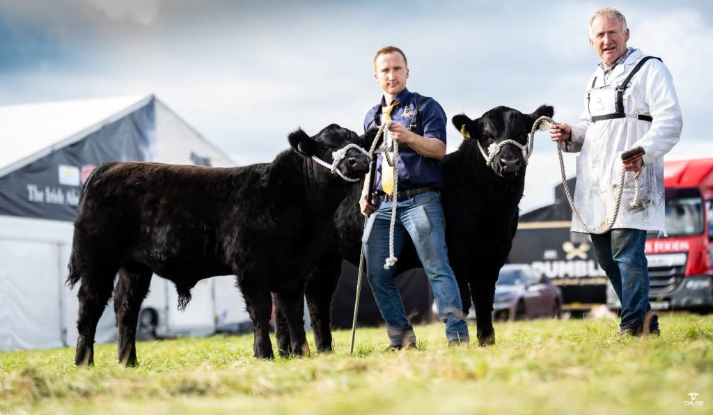 Date set for our 2nd Annual Liss Select Sires Bull&nbsp;Sale